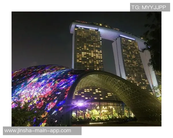 奥门金沙娱乐12P-奥门金沙娱乐，探索城市中的娱乐新纪元 12大亮点揭秘-奥门金沙娱乐12P